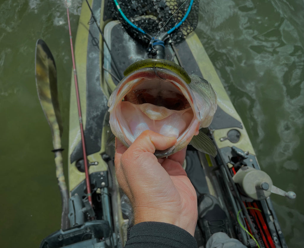 Grand Lake: Know When To Fold 'Em by Justin Largen