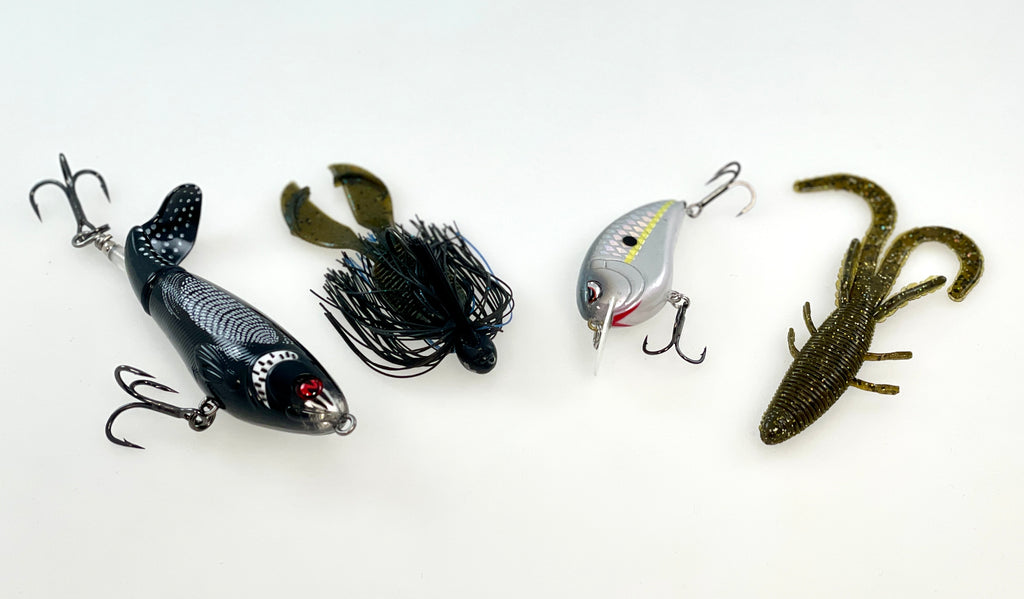 BEST BAIT BETS IN OCTOBER