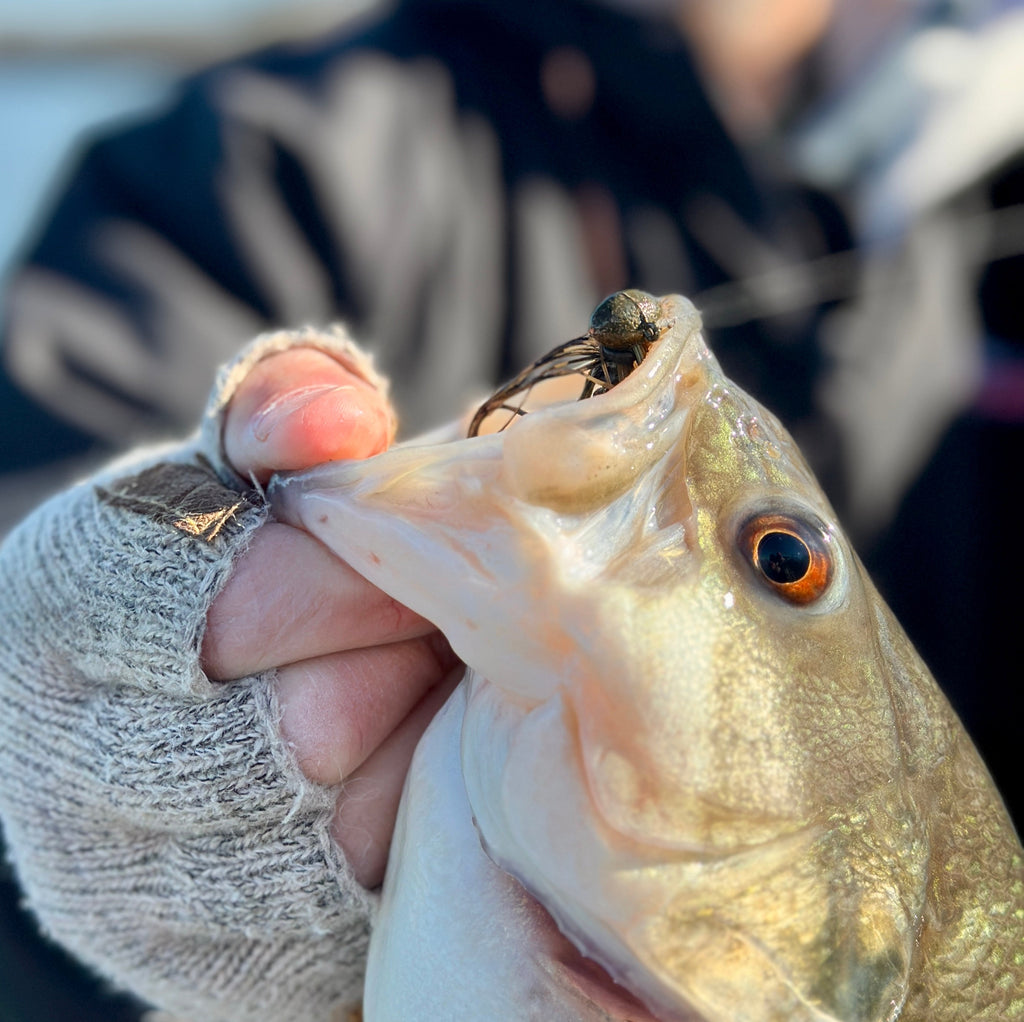 Why You Need to Fish Micro Jigs in the Winter