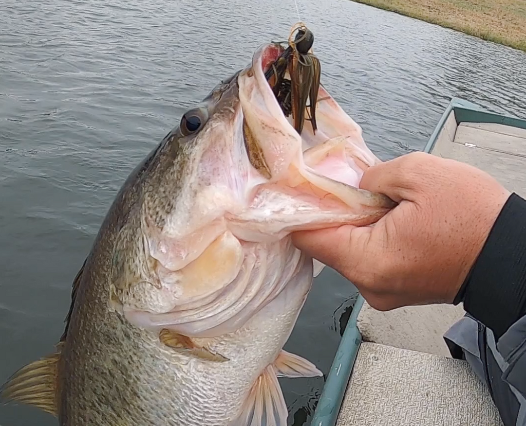 Missile Jigs Declares Fall and Winter as Jig Season