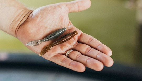 3 Steps to Catching Bass on a Ned Rig