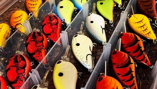 Top 5 Crankbait Colors By Season