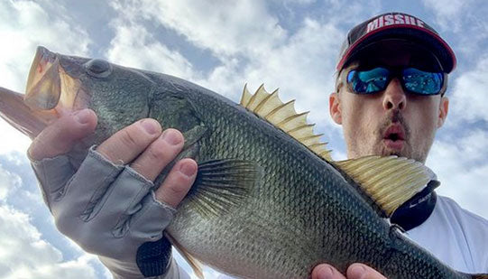 Top 3 Bass Fishing Techniques You Must Know