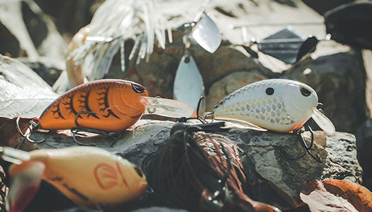Fall Fishing - Speed of Bait
