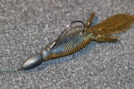 Best Bait for Catching Bass