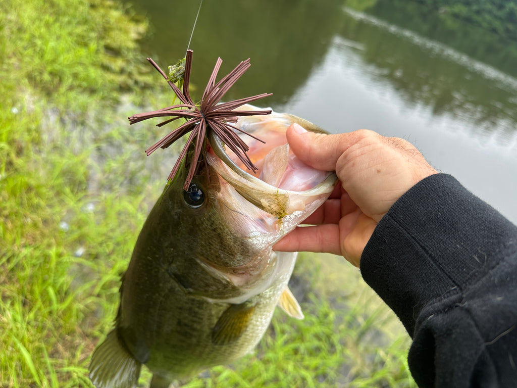 dumbest looking fishing lure Stupid Dumb Fish Ball I BOUGHT Every WEIRD Lure