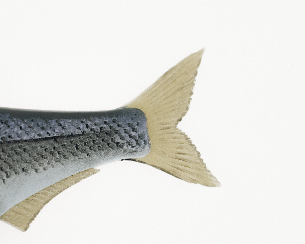 Hinkle Shad painted by Andrew Hinkle – Missile Baits