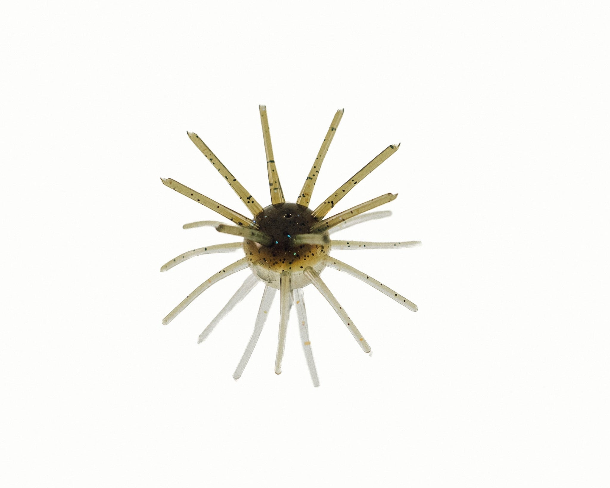 dumb fishing lures The Encyclopedia of Old : Made in North America ensuring you have enough for your day of fishing Meet the Rad Dawg: The